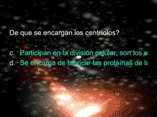 De que se encargan los centríolos? Participan en la división celular, son los encargados de dirigir el movimiento de los cromosomas. Se encarga de fabricar las proteínas de las células. 