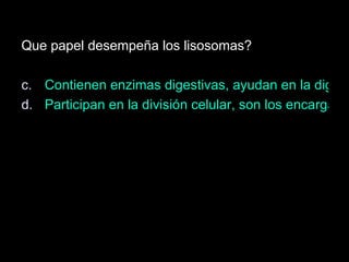 Que papel desempeña los lisosomas? Contienen enzimas digestivas, ayudan en la digestión intracelular de diferentes nutrientes. Participan en la división celular, son los encargados de dirigir el movimiento de los cromosomas.   