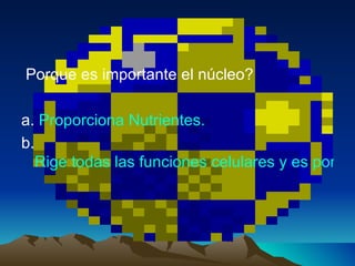 Porque es importante el núcleo? a.  Proporciona Nutrientes. b.  Rige todas las funciones celulares y es portador de material genético. 