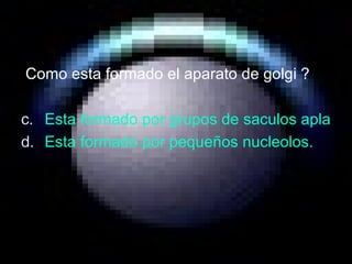 Como esta formado el aparato de golgi ? Esta formado por grupos de saculos aplanados, apilados en paquetes de 4 a 8 rodeando a los centríolos. Esta formado por pequeños nucleolos. 