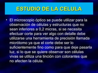 ESTUDIO DE LA CELULA El microscopio óptico se puede utilizar para la observación de células y estructuras que no sean inferiores a 0,2 micras, si se necesita efectuar corte para ver algo con detalle debe utilizarse una herramienta de precisión llamada micrótomo ya que el corte debe ser lo suficientemente fino como para que deje pasarla luz, si lo que se quiere observar son células vivas se utiliza una tinción con colorantes que no afecten la célula. 