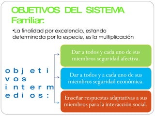 OBJETIVOS DEL SISTEMA Familiar: La finalidad por excelencia, estando determinada por la especie, es la multiplicación objetivos intermedios: