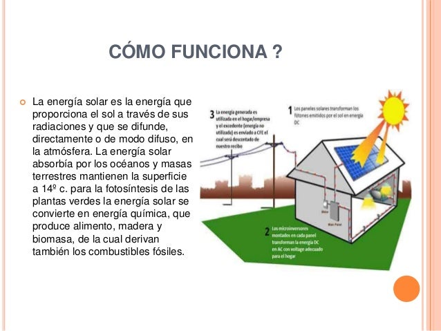 Como aplicar correctamente el martillo tora