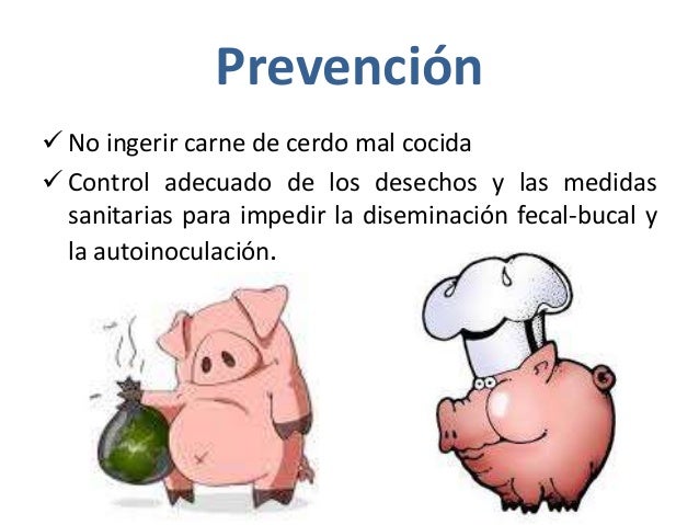 ENFERMEDADES DEL SISTEMA NERVIOSO Y COMO PREVENIRLAS