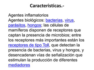 Caracteristicas.-
Agentes inflamatorios
Agentes biológicos: bacterias, virus,
parásitos, hongos; las células de
mamíferos disponen de receptores que
captan la presencia de microbios; entre
los receptores más importantes están los
receptores de tipo Toll, que detectan la
presencia de bacterias, virus y hongos, y
desencadenan vías de señalización que
estimulan la producción de diferentes
mediadores
 
