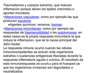 Traumatismos y cuerpos extraños, que inducen
inflamación porque dañan los tejidos (necrosis) o
aportan microbios;
•Alteraciones vasculares: como por ejemplo las que
producen isquemia
Agentes químicos: venenos, toxinas;
•Alteraciones inmunitarias: como por ejemplo las
respuestas de hipersensibilidad o las autoinmunes; en
estos casos es la propia respuesta inmunitaria la que
induce la inflamación, que es la causa principal del
daño tisular.
La respuesta inmune ocurre cuando las células
inmunocompetentes se activan ante organismos
extraños o sustancias antigenicas liberadas durante la
respuesta inflamatoria aguda o crónica. El resultado de
esta inmunorespuesta es benéfico para el huesped ya
que los organismos invasores son fagocitados o
neutralizados
 