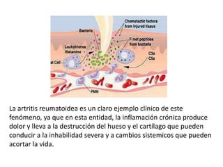 La artritis reumatoidea es un claro ejemplo clínico de este
fenómeno, ya que en esta entidad, la inflamación crónica produce
dolor y lleva a la destrucción del hueso y el cartílago que pueden
conducir a la inhabilidad severa y a cambios sistemicos que pueden
acortar la vida.
 