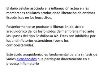 El daño celular asociado a la inflamación actúa en las
membranas celulares produciendo liberación de enzimas
lisosómicas en los leucocitos.
Posteriormente se produce la liberación del ácido
araquidónico de los fosfolípidos de membrana mediante
las lipasas del tipo Fosfolipasa A2. Estas son inhibidas por
los antiinflatorios esteroideos (como los
corticoesteroides).
Este ácido araquidónico es fundamental para la síntesis de
varios eicosanoides que participan directamente en el
proceso inflamatorio
 