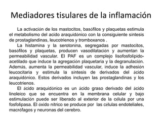 Mediadores tisulares de la inflamación
La activación de los mastocitos, basófilos y plaquetas estimula
el metabolismo del acido araquidónico con la consiguiente síntesis
de prostaglandinas, leucotrienos y tromboxanos .
La histamina y la serotonina, segregadas por mastocitos,
basófilos y plaquetas, producen vasodilatación y aumentan la
permeabilidad vascular. El PAF es un complejo lisofosfolípido-
acetilado que induce la agregación plaquetaria y la degranulación.
Además, aumenta la permeabilidad vascular, induce la adhesión
leucocitaria y estimula la síntesis de derivados del ácido
araquidónico. Estos derivados incluyen las prostaglandinas y los
leucotrienos.
El ácido araquidónico es un ácido graso derivado del ácido
linoleico que se encuentra en la membrana celular y bajo
estimulación puede ser liberado al exterior de la célula por una
fosfolipasa. El óxido nítrico se produce por las células endoteliales,
macrófagos y neuronas del cerebro.
 