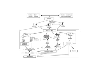 Diapositivas inflamación