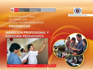 1
INSERCION PROFESIONAL Y
ASESORÍA PEDAGOGICA
UNIVERSIDAD NACIONAL DE PIURAiversidad
 