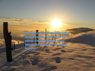 El sabio no se sienta para lamentarse, sino que se pone alegremente a su tarea de reparar el daño hecho.