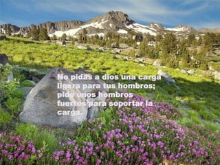No pidas a dios una carga ligera para tus hombros; pide unos hombros fuertes para soportar la carga.