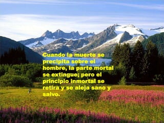 Cuando la muerte se precipita sobre el hombre, la parte mortal se extingue; pero el principio inmortal se retira y se aleja sano y salvo.