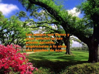 Los amigos que tienes y cuya amistad ya has puesto aprueba, engánchalos a tu alma con ganchos de acero.