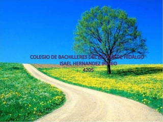 COLEGIO DE BACHILLERES DEL ESTADO DE HIDALGO ISAEL HERNANDEZ IRINEO 4205 
