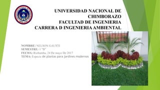 UNIVERSIDAD NACIONAL DE
CHIMBORAZO
FACULTAD DE INGENIERIA
CARRERA D INGENIERIAAMBIENTAL
NOMBRE: NELSON GAUSTI
SEMESTRE: 1 “B”
FECHA: Riobamba, 24 De mayo De 2017
TEMA: Especie de plantas para jardines modernos
 