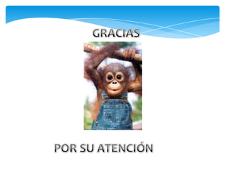 Teoria de la Administracion