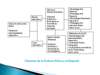Ciencias de la Cultura Física y el Deporte
 
