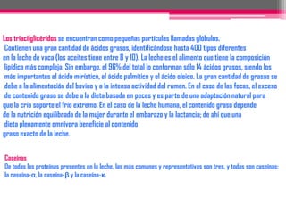 -composición de la lecheLactosaLa lactosa es un disacárido presente únicamente en leches, representando el principal y único hidrato de carbono. Sin embargo, se han identificado pequeñas cantidades de glucosa, galactosa, sacarosa, cerebrósidos y amino azúcares derivados de la hexosamina.La lactosa se sintetiza en la glándula mamaria por un sistema enzimático en el que interviene la α-lactoalbúmina para después segregarse en la leche. Es un 15% menos edulcorante que la sacarosa y contribuye, junto con las sales, al sabor global del alimento. Hay ciertos sectores de la población (sobre todo de raza negra y mestizos latinoamericanos) que no toleran la leche debido a su contenido de lactosa. Esto se debe a que la mucosa del intestino delgado no sintetiza la lactasa que es la enzima que hidroliza el enlace glucosídico y separa el azúcar en glucosa y galactosa.Cuando la lactosa llega al colon, fermenta y produce hidrógeno, dióxido de carbono y ácido láctico, que irritan este órgano; además, se absorbe agua en el intestino para equilibrar la presión osmótica. Todo esto puede traer como resultado diarrea, flatulencias y calambres abdominales. Para remediar esta anomalía bioquímica que afecta a algunos sectores de la población mundial, los productores adicionan al permeado (suero) una enzima, la α-lactasa que hidroliza el disacárido en sus dos monosacáridos y así es tolerada por los grupos alérgicos a la lactosa.La lactosa es producida desde que el bebé comienza a lactar, y comienza a disminuir su producción con el crecimiento, ya que biológicamente el humano no requiere obligatoriamente de leche en su dieta básica después de la infancia, como demuestra que el 70 u 80% de los adultos prescinden de ella. 