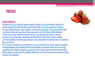 ¿De qué están compuestas las frutas?El 90 por ciento es agua, por lo cual se convierten en un hidratante por excelencia. El 10 por ciento restante está compuesto por hidratos de carbono (fructosa), ácidos orgánicos, vitaminas (como A, C y gran parte del grupo B), fibra y sales minerales. El contenido de grasa y proteínas es muy bajo.En cuanto a las vitaminas, su absorción es mayor cuando las frutas se ingieren enteras, ojalá con su cáscara o piel, lo cual contribuye a la formación de fibra.Las vitaminas A y C ayudan a asimilar elementos como hierro, calcio y fósforo.Entre las frutas con un alto contenido de vitamina C están la fresa, la frambuesa, la naranja, el pomelo, el limón, el melón, la piña, el albaricoque, el melocotón, el banano y las manzanas.Es importante el consumo de estas frutas para incrementar la presencia de la vitamina C y fortalecer así el sistema inmunológico. Esta vitamina previene la debilidad, la anemia, los dolores en las articulaciones, la irritabilidad y ayuda a combatir los virus comunes de las gripas.Entre las frutas con alto contenido de vitamina A están el melón, el melocotón, la mandarina, la naranja, el banano, el níspero y la ciruela.El consumo de vitamina A también contribuye al mejoramiento del sistema inmunológico, mejora los problemas visuales, ayuda a combatir las infecciones respiratorias, favorece el crecimiento y facilita los procesos de cicatrización de la piel.Si usted prefiere los zumos o jugos, tenga en cuenta que las propiedades de la fruta se pierden en el proceso; sin embargo, ingiera el jugo casi de inmediato a su preparación, para que la fruta allí mezclada no sufra un proceso de oxidación que hace que disminuyan sus nutrientes.