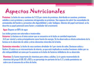 Aspectos NutricionalesProteínas: La leche de vaca contiene de 3-3,5 por ciento de proteínas, distribuida en caseínas, proteínas solubles o cero proteínas y sustancias nitrogenadas no proteicas. Son capaces de cubrir las necesidades de aminoácidos del hombre y presentan alta digestibilidad y valor biológico. Además del papel nutricional, se ha descrito su papel potencial como factor y modulador del crecimientoAgua: Dispone un 88% de aguaLos ácidos grasos son saturados e insaturados:Azúcares: La lactosa es el único azúcar que se encuentra en la leche en cantidad importante (4,5 por ciento) y actúa principalmente como fuente de energía. Se ha observado un efecto estimulante de lalactosa en la absorción de calcio y otros elementos minerales de la leche. Sustancias minerales: La leche de vaca contiene alrededor de 1 por ciento de sales. Destacan calcio y fósforo. El calcio es un micronutriente de interés, ya que está implicado en muchas funciones vitales por su alta indisponibilidad así como por la ausencia en la leche de factores inhibidores de su absorción. Vitaminas: Es fuente importante de vitaminas para niños y adultos. La in-gesta recomendada de vitaminas del grupo B (B1, B2 y B12) y un porcentaje im-portante de las A, C y ácido pantoténico se cubre con el consumo de un litro de leche.