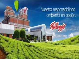Niveles de Producción en Alimentos Kellogg's S.ALa kellogg´s en Latinoamérica produce 1.2mil millones $  anuales.  fundada en 1961 en Maracay estado Aragua. Produce 80 cajas por minuto Produce el 75% de los cereales que se consumen en Venezuela. Entre operarios y empleados trabajan aproximadamente 800 personas      