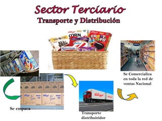Transporte y Chimeneas
