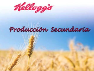 Producción  Secundaria