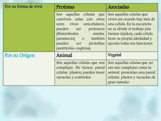 Por su forma de vivir Protistas Asociadas
Son aquellas células que
conviven solas con otros
seres vivos unicelulares,
pueden ser protozoos
(Heterótrofos: ameba,
paramecio) o también
pueden ser protofitas
(autótrofas: euglena).
Son aquellas células que
viven así cuando hay más de
una célula. En la eucariota
no se divide el trabajo (sin
formar tejidos), cada célula
tiene su propia identidad y
ejecuta todas sus funciones.
Por su Origen Animal Vegetal
Son aquellas células que son
complejas. No tienen: pared
celular, plastos; pueden tener
vacuolas y centriolos.
Son aquellas células que no
son tan complejas como la
animal, presentan una pared
celular, plastos y vacuolas de
gran tamaño.
 