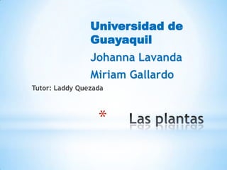 *
Universidad de
Guayaquil
Johanna Lavanda
Miriam Gallardo
Tutor: Laddy Quezada
 