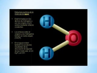 Diapositivas (liquidos ii )