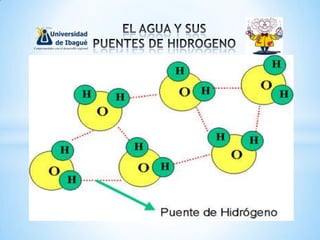 Diapositivas (liquidos ii )