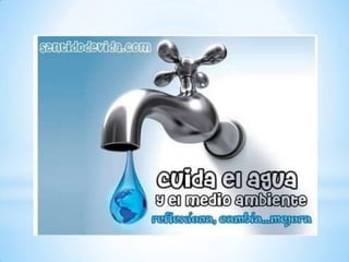 Diapositivas (liquidos ii )