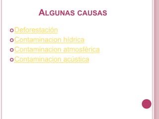 ALGUNAS CAUSAS
 Deforestación
 Contaminacion hídrica
 Contaminacion atmosférica
 Contaminacion acústica
 