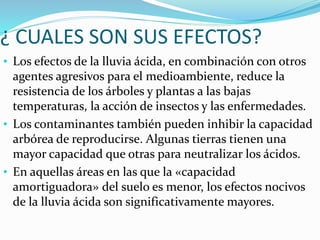 ¿ CUALES SON SUS EFECTOS?
• Los efectos de la lluvia ácida, en combinación con otros
agentes agresivos para el medioambiente, reduce la
resistencia de los árboles y plantas a las bajas
temperaturas, la acción de insectos y las enfermedades.
• Los contaminantes también pueden inhibir la capacidad
arbórea de reproducirse. Algunas tierras tienen una
mayor capacidad que otras para neutralizar los ácidos.
• En aquellas áreas en las que la «capacidad
amortiguadora» del suelo es menor, los efectos nocivos
de la lluvia ácida son significativamente mayores.
 
