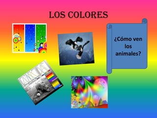 Los colores

              ¿Cómo ven
                 los
              animales?
 