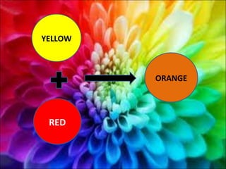 YELLOW RED ORANGE 
