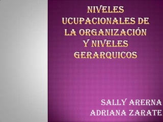 NIVELES UCUPACIONALES DE LA ORGANIZACIÓN Y NIVELES GERARQUICOS SALLY ARERNA ADRIANA ZARATE 