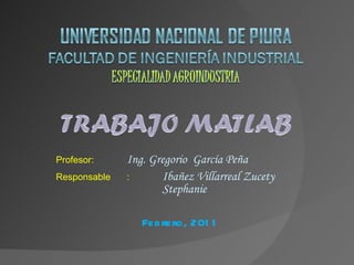 Profesor : Ing. Gregorio  García Peña Responsable :  Ibañez Villarreal Zucety  Stephanie Febrero, 2011 