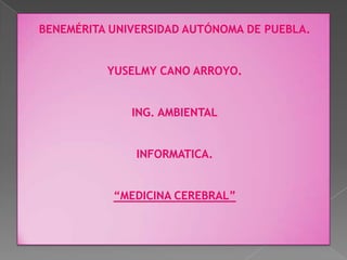BENEMÉRITA UNIVERSIDAD AUTÓNOMA DE PUEBLA. YUSELMY CANO ARROYO. ING. AMBIENTAL INFORMATICA. “MEDICINA CEREBRAL” 