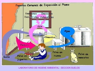 LABORATORIO DE HIGIENE AMBIENTAL - SECCION SUELOS 