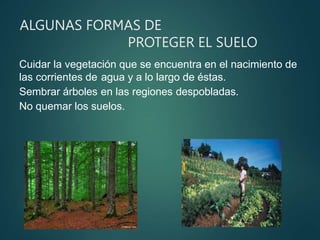 ALGUNAS FORMAS DE
PROTEGER EL SUELO
Cuidar la vegetación que se encuentra en el nacimiento de
las corrientes de agua y a lo largo de éstas.
Sembrar árboles en las regiones despobladas.
No quemar los suelos.
 