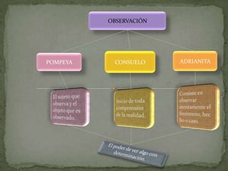 OBSERVACIÓN




POMPEYA    CONSUELO     ADRIANITA
 