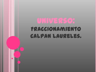 Universo:
Fraccionamiento
Calpan Laureles.
 
