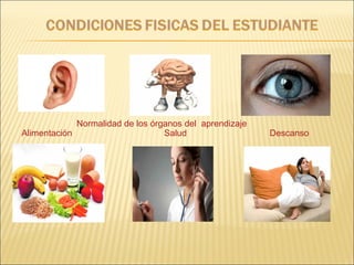 Alimentación Salud Descanso   Normalidad de los órganos del  aprendizaje 