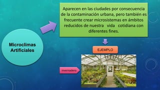 Microclimas
Artificiales
Aparecen en las ciudades por consecuencia
de la contaminación urbana, pero también es
frecuente crear microsistemas en ámbitos
reducidos de nuestra vida cotidiana con
diferentes fines.
EJEMPLO
invernadero
 