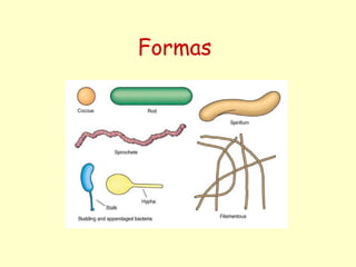 Formas
 