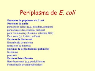Periplasma de E. coli
Proteínas de peiplasma de E.coli.
Proteínas de unión
para amino acidos (e.g. histadina, arginina)
para azúcares (ej. glucosa, maltosa)
para vitaminas (ej. thiamina, vitamina B12)
Para iones (ej. fosfato, sulfato)
Enzimas de biosíntesis
Ensamblado de mureína
formación de fimbrias
Enzimas de degradaciónde polímeros
fosfatasas
proteasas
Enzimas detoxificantes
Beta-lactamasas (e.g. penicillinasa)
Fosforilación de aminoglicósidos
 