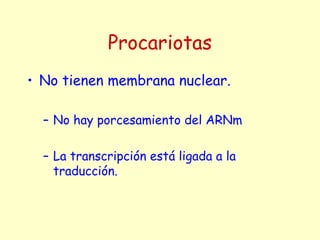 Procariotas
• No tienen membrana nuclear.
– No hay porcesamiento del ARNm
– La transcripción está ligada a la
traducción.
 